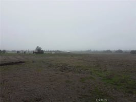 30783132