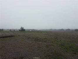 30783123