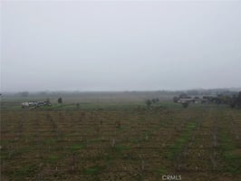 30783130