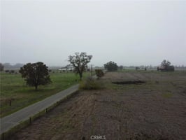 30783106