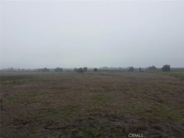 30783117