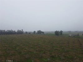 30783131