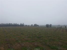 30783126