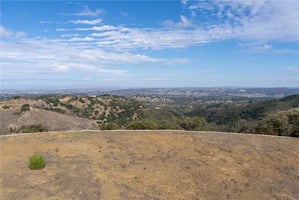 30784621