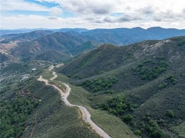 30784631