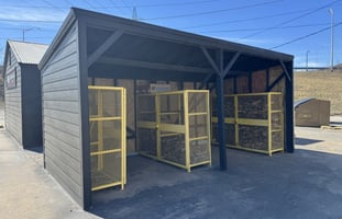 30855353