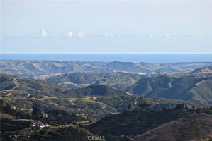 32907536