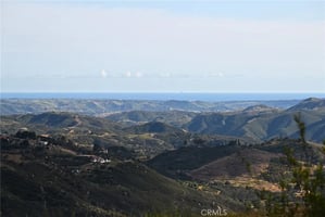 30785506