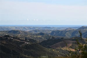 32907538