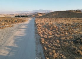 30785646