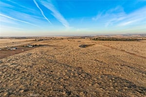 31781121