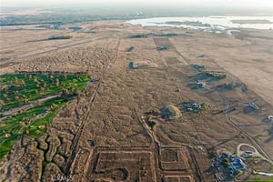31782732