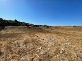 30787626