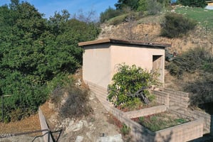 30789752