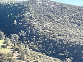 30790833