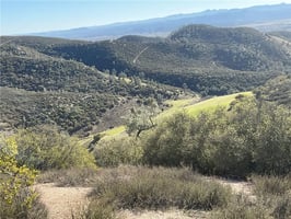 30790851