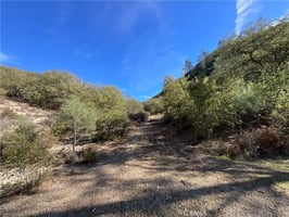 30790848