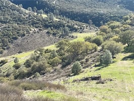 30790853