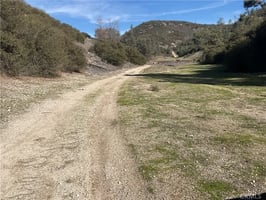 30790836