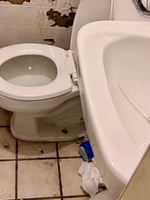 30791306