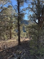 30795839