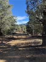 30795845