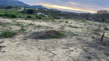 30798333