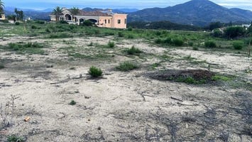 30798331