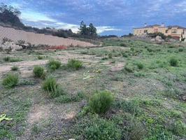 30798313