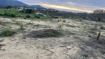30798320