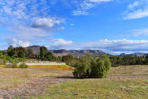 30798762