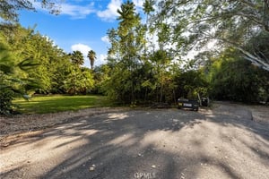 30799367