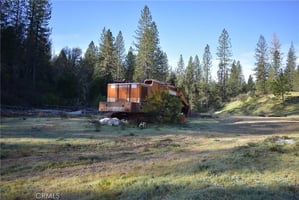 31565591