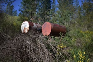 31565599