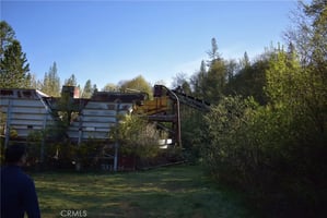 31565590