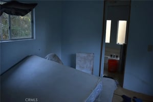 31565620