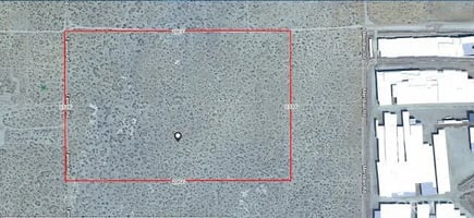 31609038