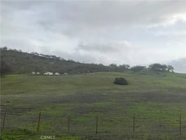 30801774