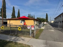 32695404