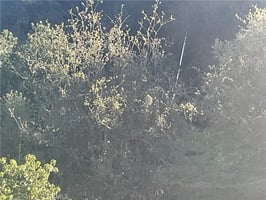 30810926