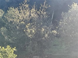 30810949
