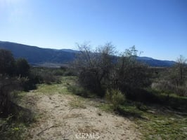 32914508