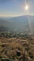 32232652