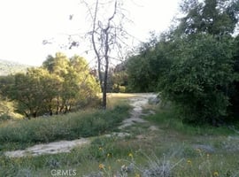 30814535