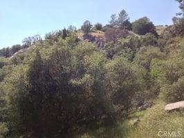 30814480