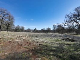 31304337