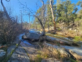31609107