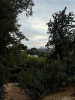 31296642