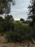 31296643