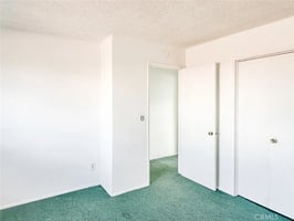 30819545